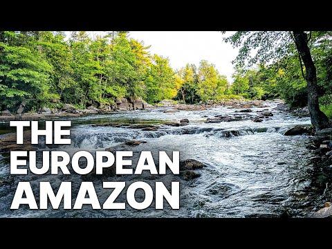 Biebrza - The European Amazon | Spectacular Wildlife Images