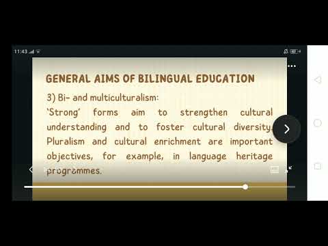 Effective Programs in Bilingual Education