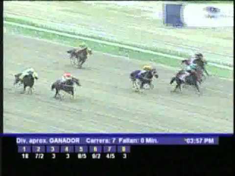 Lunes, 05 de Diciembre de 2011 - La Rinconada