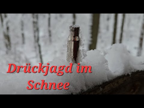 Drückjagd im Schnee