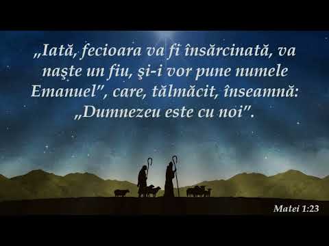 Daniel Lavric - Ce a însemnat întruparea pentru Hristos?