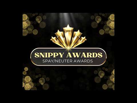 The Snippys Awards 2026 hosted by Clinic HQ