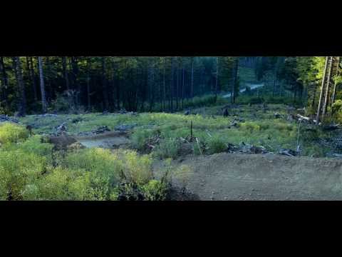 Banshee Rune ft. Mylan Smith