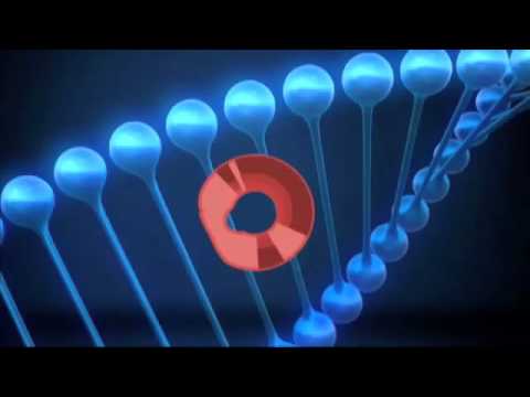 Genome Project legacy: advancements in gene th