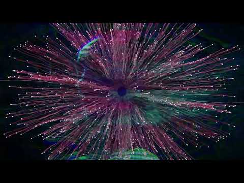 Nihil Young, Xenia Dia - Is This Real