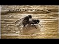 Terrified By EscThePop Apr 2024 Official Audio FINAL