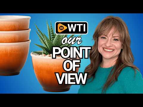 8 Inch Plant Pots Glazed Ceramic Look Planters with Drainage Hole - WTI product video review
