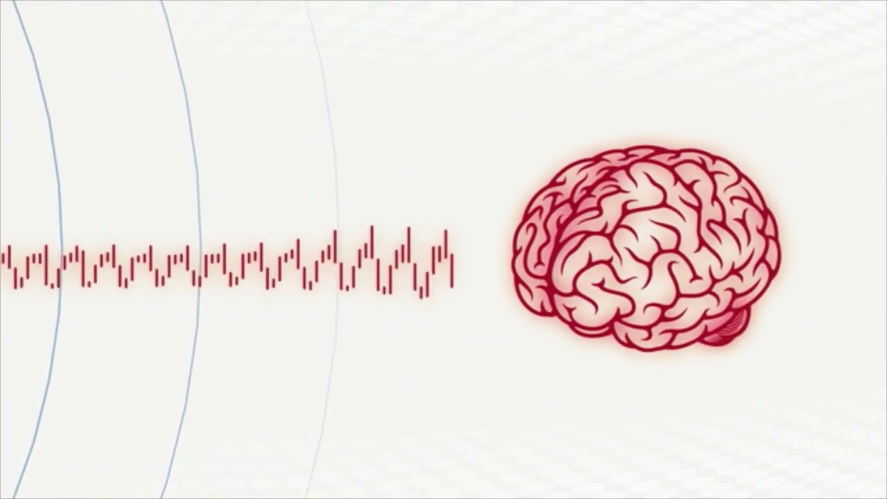 WellnessPro Plus Overview