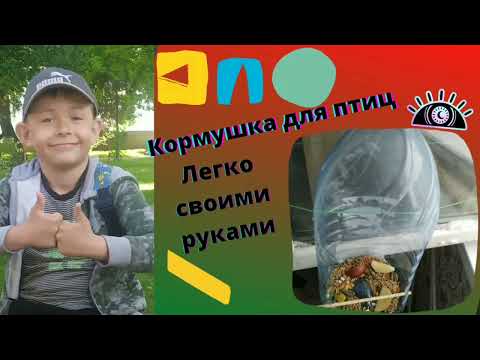 кормушка из 5 литровой бутылки , кормушка для птиц , легко
