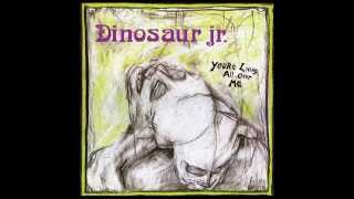 Dinosaur Jr. - You&#39;re Living All Over Me (Private Remaster) - 02 Kracked