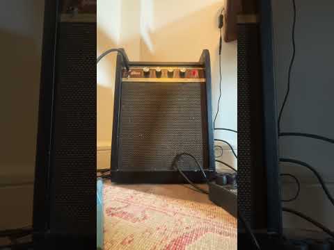 Immagine Gibson Skylark 1960s Tremolo in great condition - 6