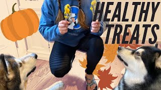 DIY Pumpkin Purée for Treats and Fall Fun!