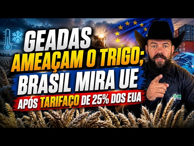 Geadas Ameaçam o Trigo; Brasil Mira UE Após Tarifaço de 25% dos EUA