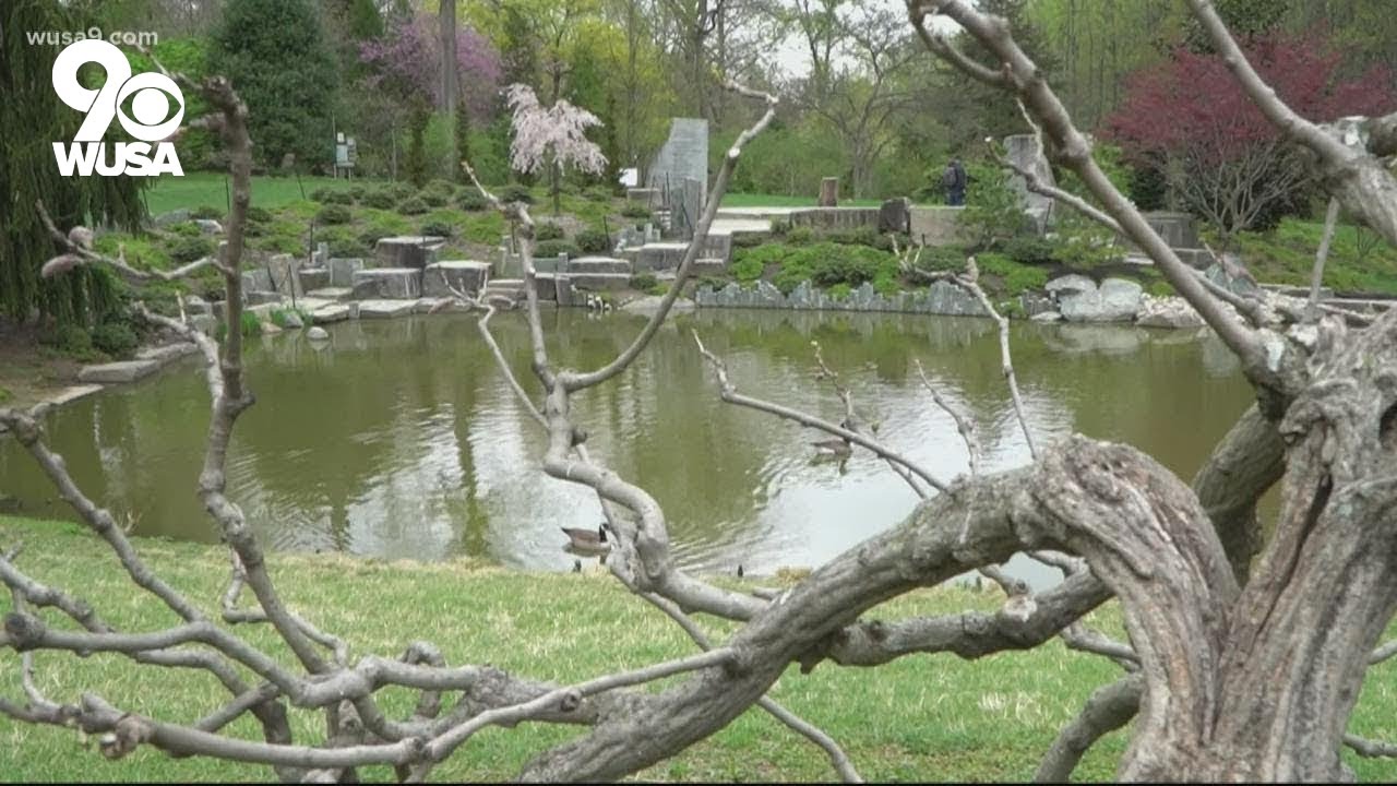 Is Brookside Gardens open during Covid?