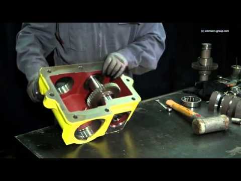 Ammann Vibratory Plate Service Video - APH 5020 exciter adjustment