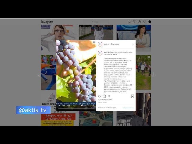 Подводим итоги телепроекта «Урожай»!