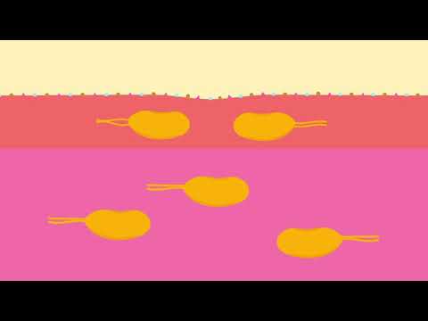 Produktvideo
