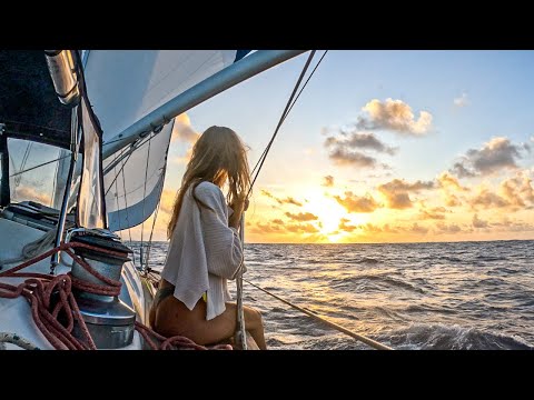 a girl & her cat alone at sea; raw & real pacific crossing [ep 165]