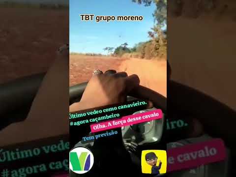 TBT grupo moreno monte aprazível são Paulo