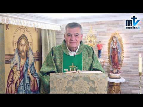 "Haz la Voluntad de Dios con Alegría" | Homilía, Domingo, XXVI Semana del Tiempo Ordinario (27-09-2026) | P. Santiago Martín, FM