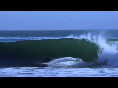 5'6 Fang Deck by Santa Cruz Surfboards