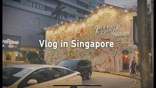 【シンガポール生活】VLOG