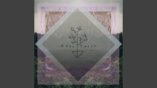 We Are (The Wanderers)