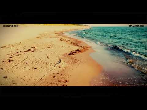 Amadeus - Saint of Sin & Rasa Serra