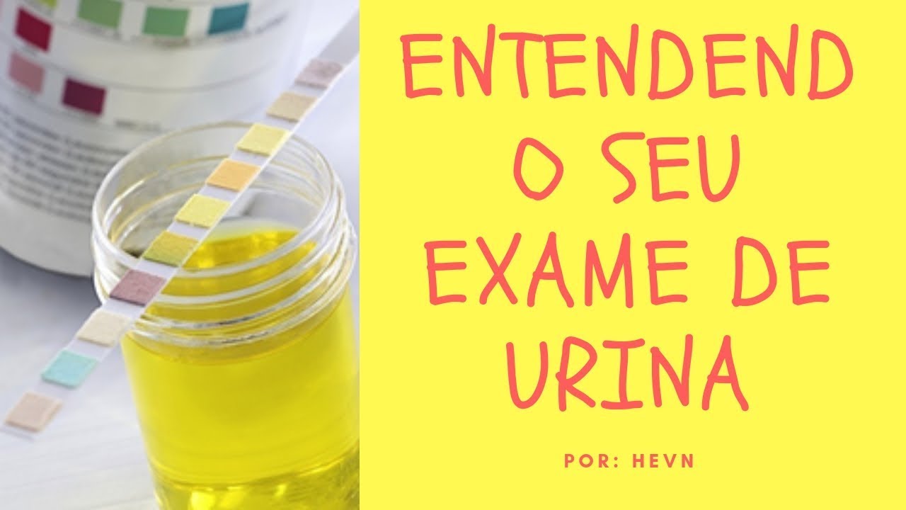 ENTENDENDO SEU EXAME DE URINA