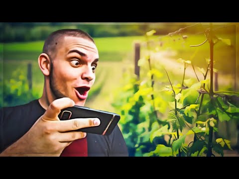 KO JE SLJEDECI ?  / LIVE #232 / Nedim