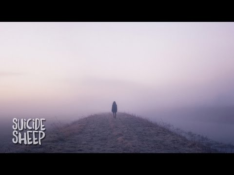 Julien Marchal - Insight XX