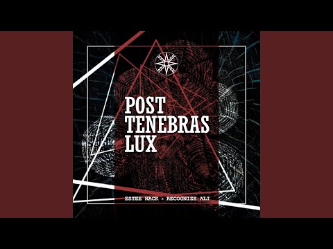 Within the Line of Fire