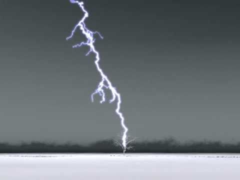 Fast Simulation of Laplacian Growth (2007) - Lightning Example