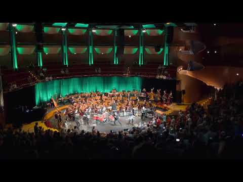 HÖHNER @Philharmonie Köln - PRINZESSIN 👸 @chickenchannelcgn