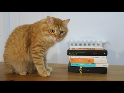 The Books Of Magic de Neil <a href=