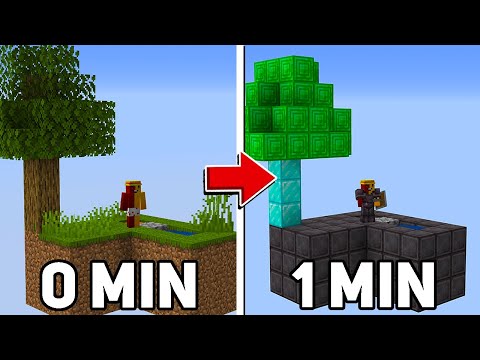 MINECRAFT SKYBLOCK BUT THE ISLAND CHANGES BLOCKS EVERY 1 MINUTE