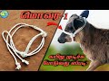 How To Make Cow Face Rope In Tamil மாடு மொவர கயிர் பின்னல்