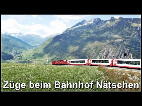 Swiss mountains and railroad / Glacier Express beim Bahnhof Nätschen, Kanton Uri, Schweiz 2021
