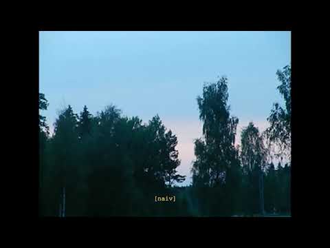 LKN - naiv (Visualizer)