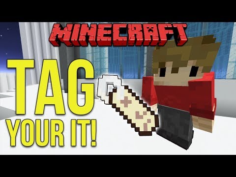 Hermitcraft: TAG - Your It! (Minecraft Data Pack)