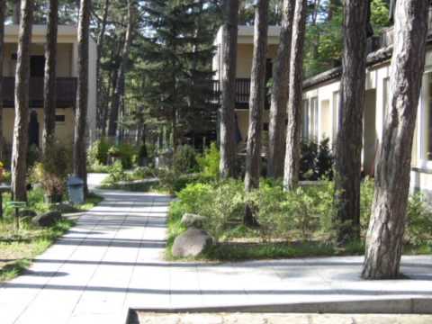 W Sosnowym Lesie. Ośrodek wczasowy. Międzywodzie  wczasy z zumbą,  gotowaniem