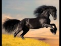 Dance Music Clubbing -[Arabic ™ Oriental ...