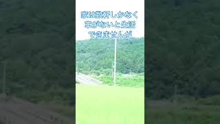 お米農家　シルク米
