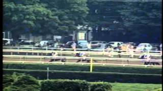 Holy Bull - 1994 Travers (G1)