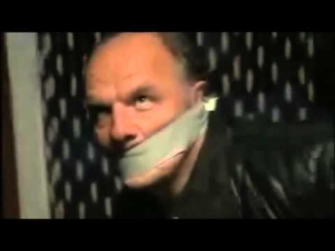 do you want plåster