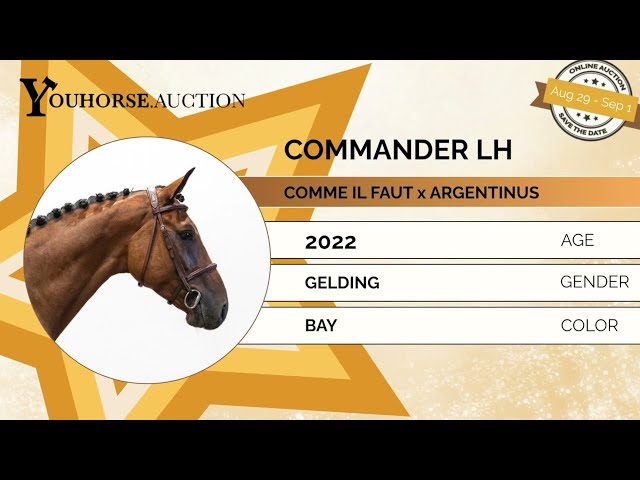 Commander flatworkvideo