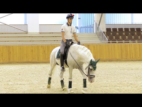 Minden napra lovaskultúra - Mélyre lovaglás (Dallos Gyula) (53. rész)