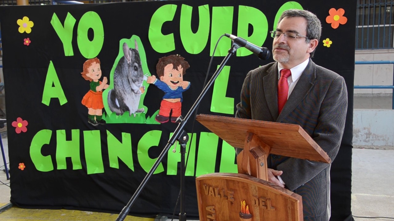 "Yo cuido a la chinchilla", campaña para la conservación de esta especie en peligro de extinción