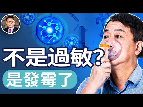 Thumbnail for 你不是過敏，你可能是發霉了：黴菌如何讓你慢性疲勞、皮膚癢、腦霧重。【四維健康】