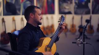 Lágrima by Francisco Tárrega - played by Matt Palmer, guitar